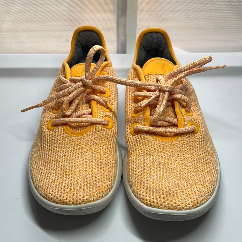 Allbirds Tree Runner